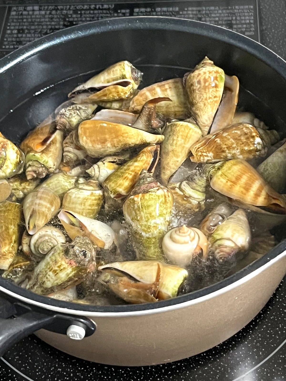 チャンバラ貝を鍋で塩茹でしているところ