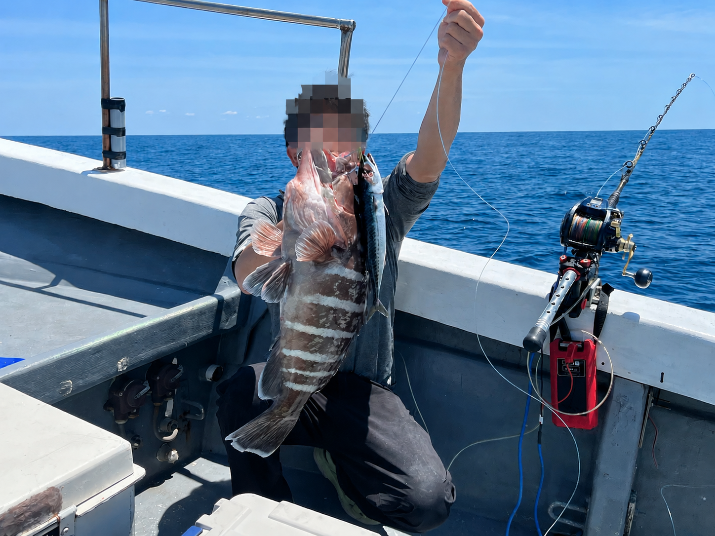 仲間が釣り上げたマハタ