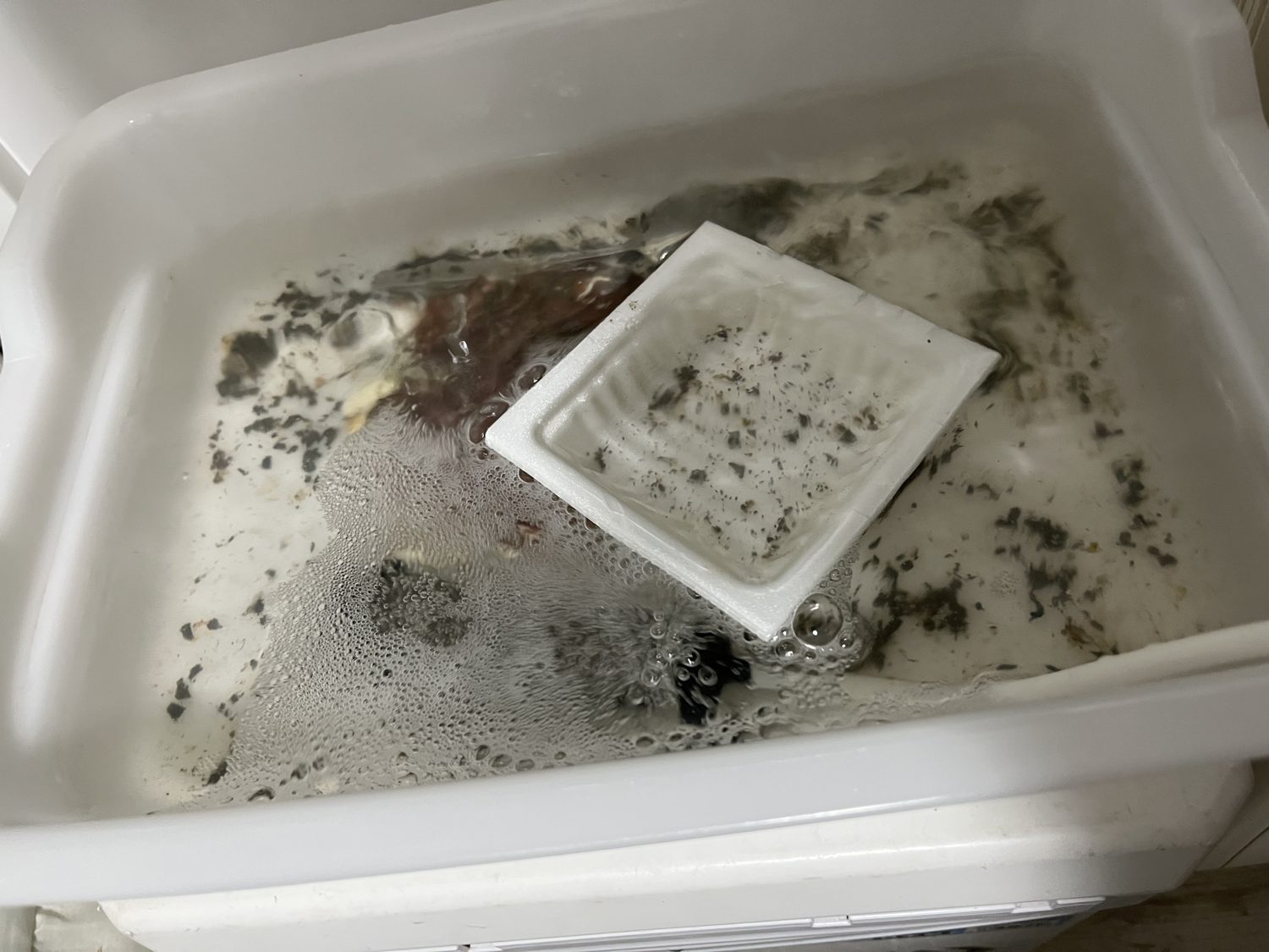 砂抜きトレーの底にたまった砂と、底上げに沈めた納豆の容器