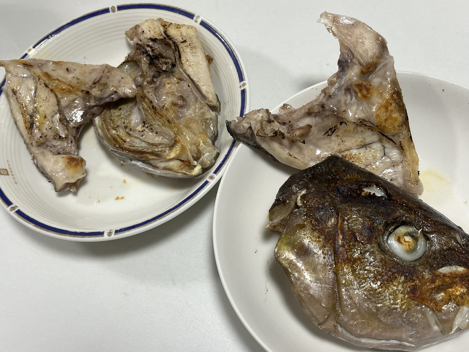 ヒレナガカンパチの頭とカマの塩焼き