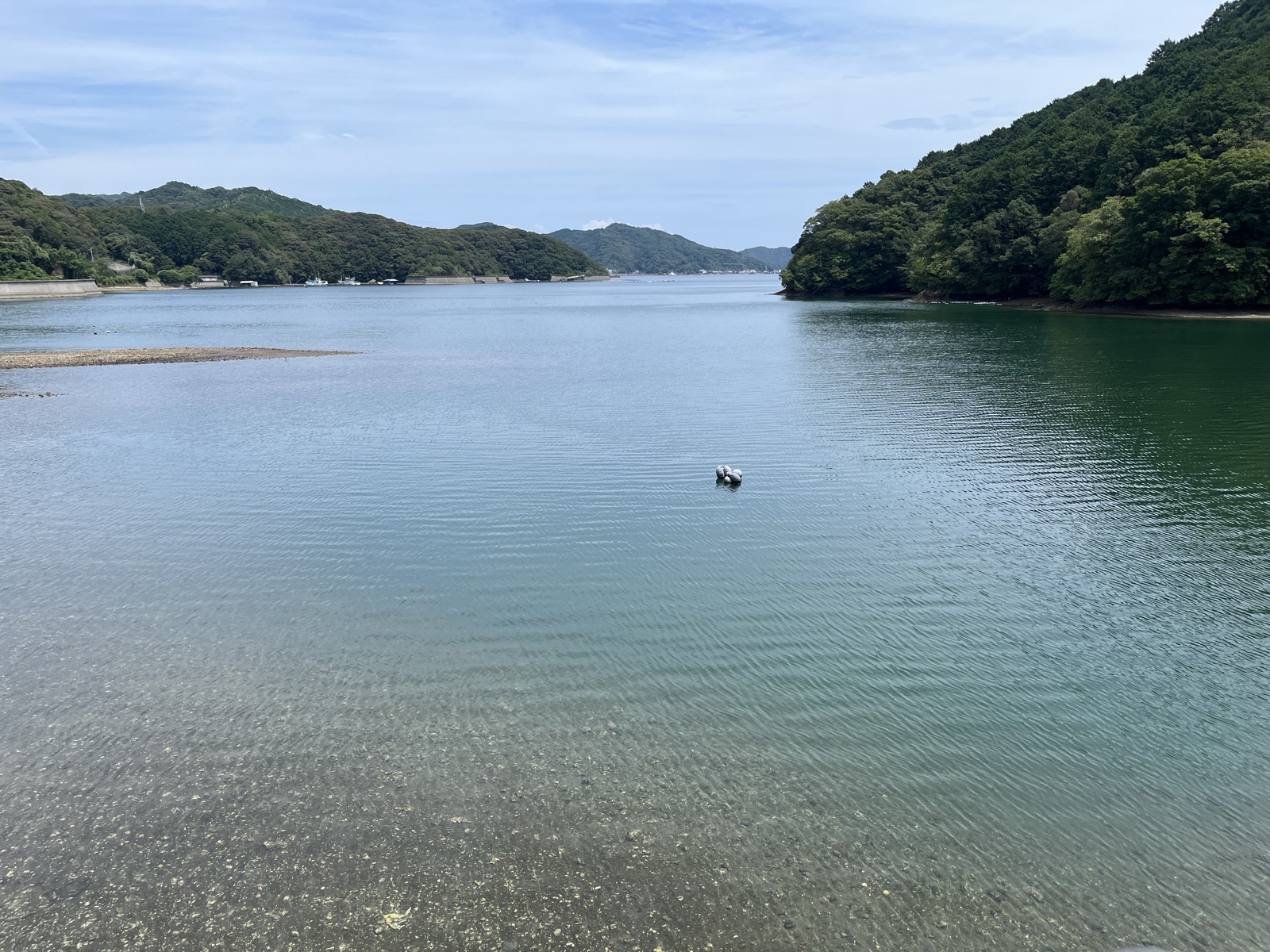高知県某所の遠浅の入り江。水が澄んで砂地が透けて見える