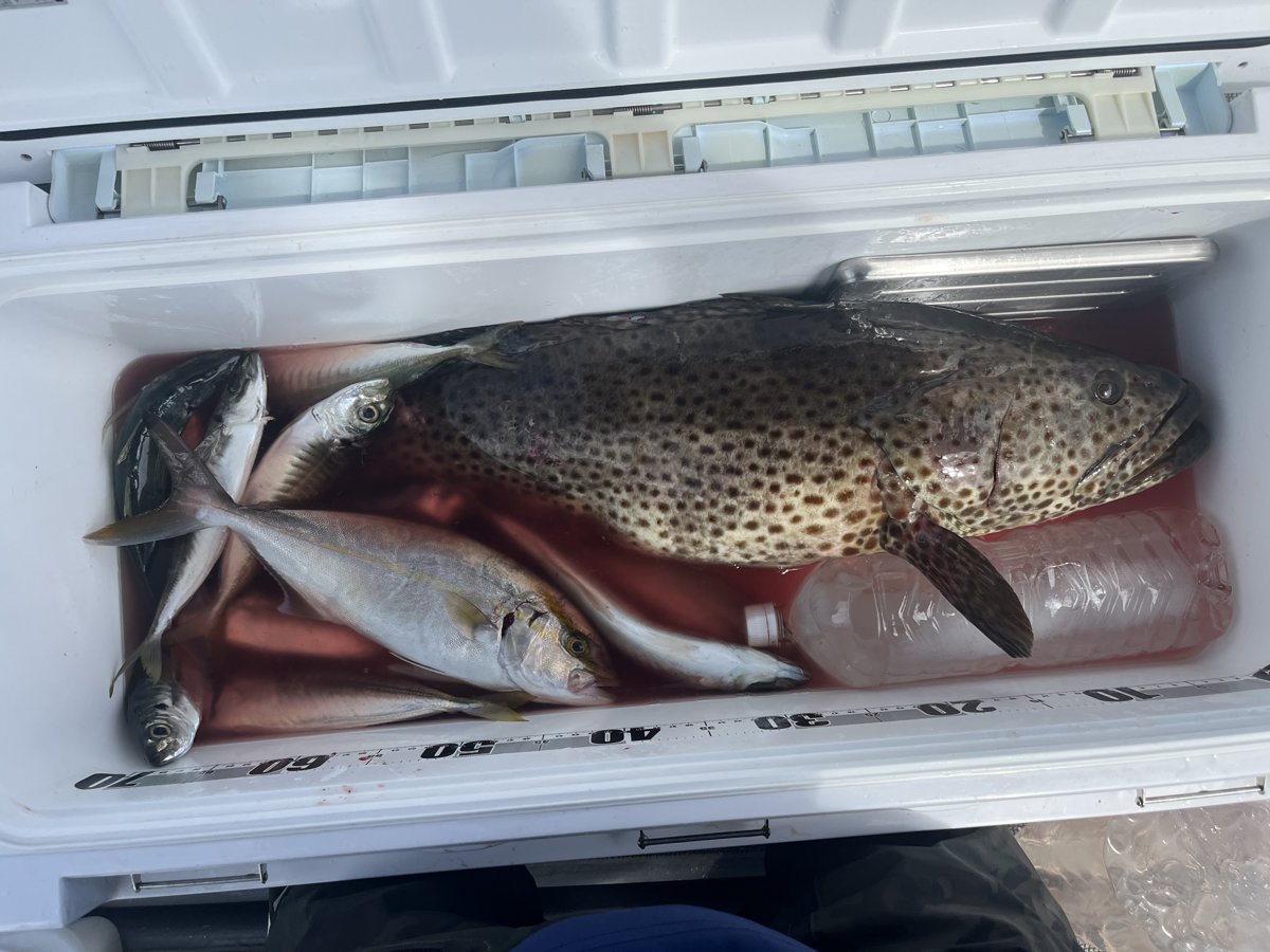この日の釣果が入ったクーラー