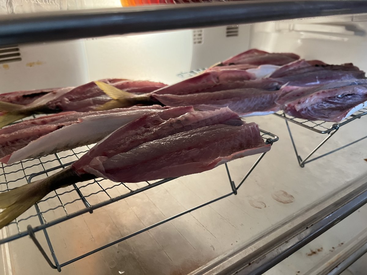 冷蔵庫のロースターに並べたマルアジの開き