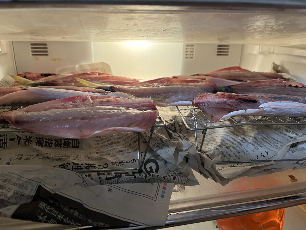 冷蔵庫のロースターで干しているマルアジ