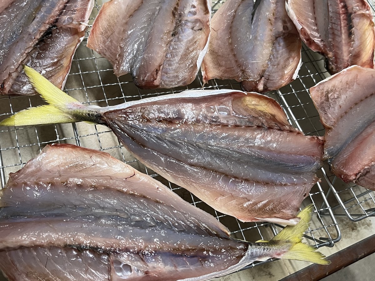 丸二日干したマルアジの干物