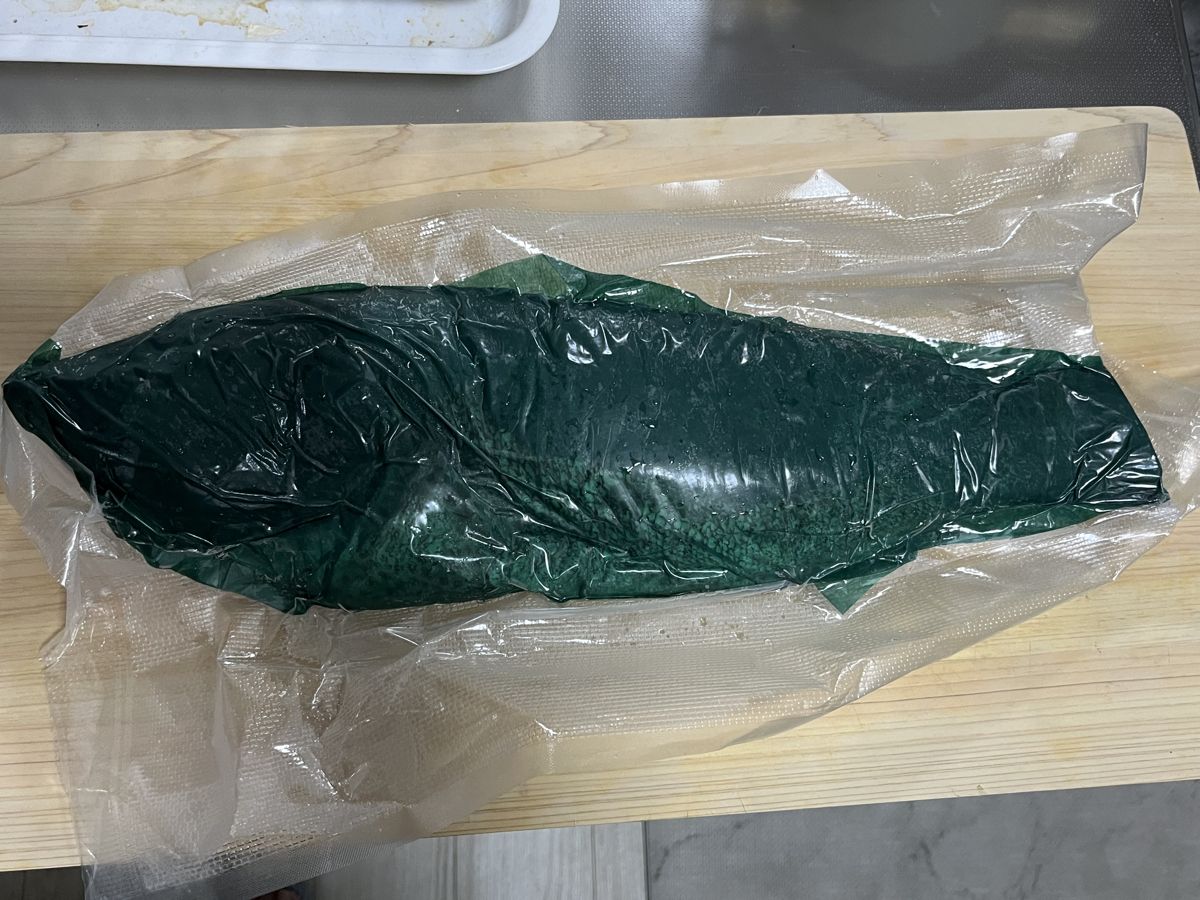 グリーンパーチで寝かせたオオモンハタ53cm